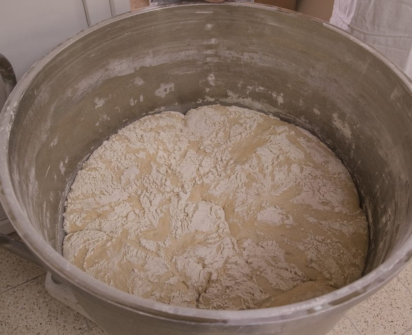 Podmłoda gotowa do produkcji chleba